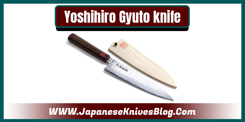 Yoshihiro Gyuto Japanese knife review