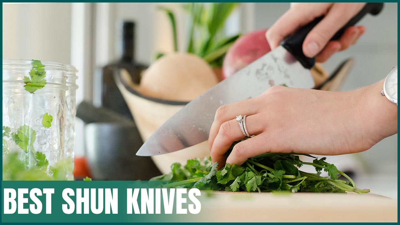 Best Shun Knives - Top Reviews and Buying Guide 2022