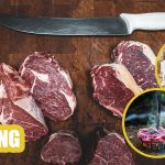 Best Knife for Meat Cutting - Top Reviews and Buying Guide