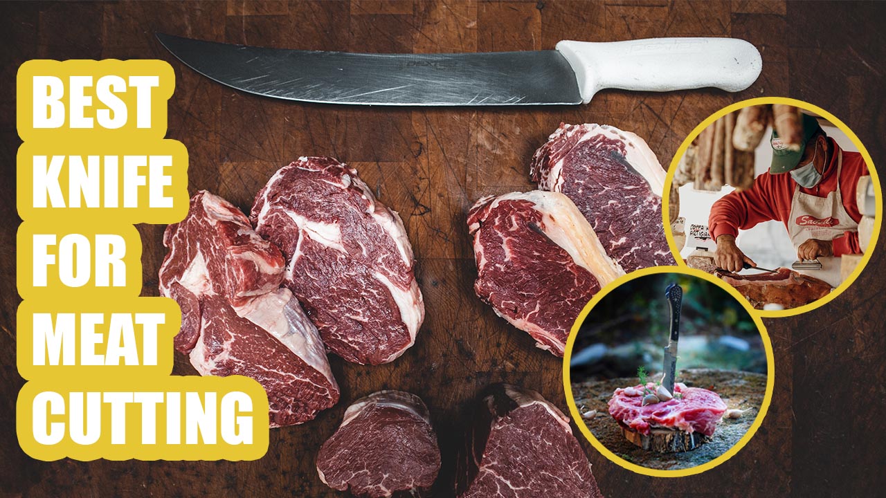 BEST KNIFE FOR MEAT CUTTING